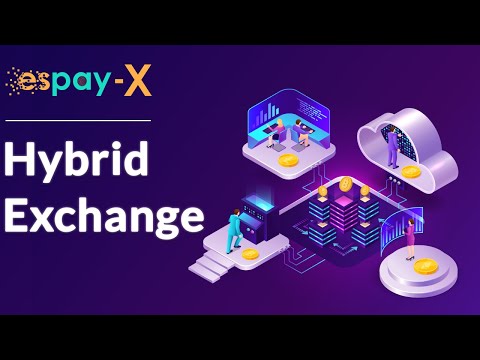 Disrupt The Crypto Sphere With Espay-X Hybrid Exchange Development
