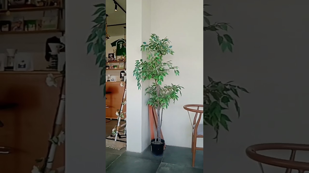 Kanha Manena Sakhi? 😱 #PawanSingh #Bhojpuri