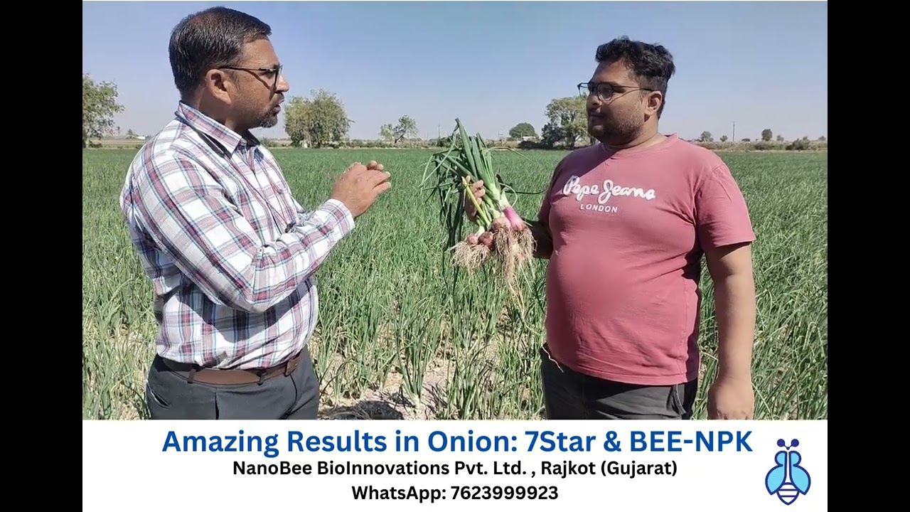 7Star & BEE-NPK Boost Onion Yield 🌱