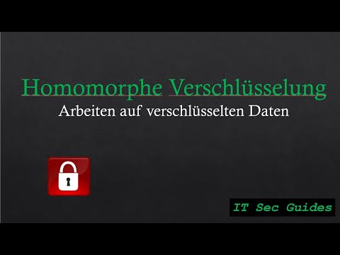 Homomorphe Verschlüsselung: Grundlagen und Datenschutzanwendungen
