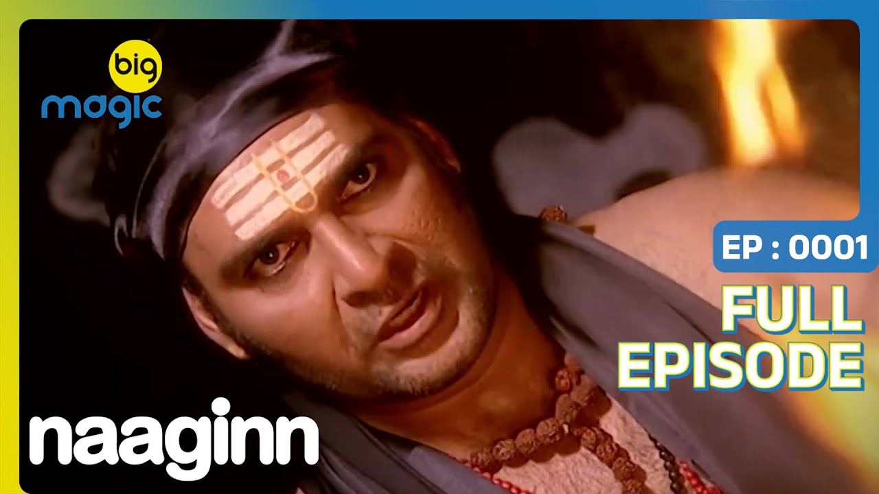 अर्चना क्यों डर रही है रूद्र के जंगल जाने पर? | Naaginn एपिसोड 1