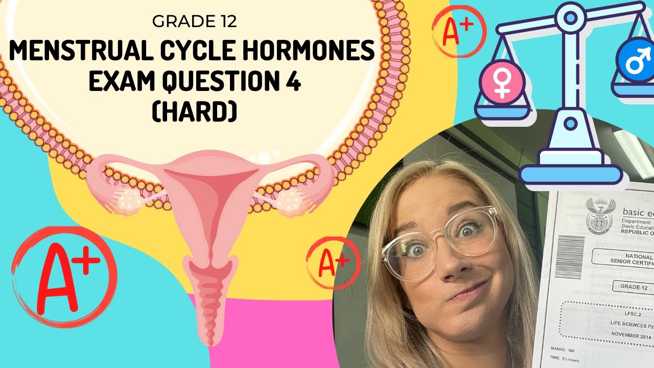 Menstrual Cycle Hormones | Practice Question 💡