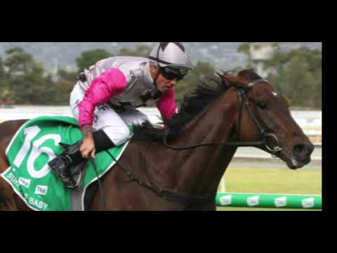 SURPRISE BABY: A 2020 Melbourne Cup Max-watch on Surprise Baby