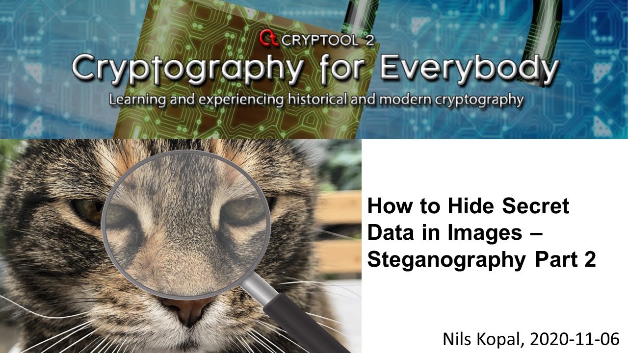 Mastering Image Steganography: Hide Secret Data Effortlessly ๐