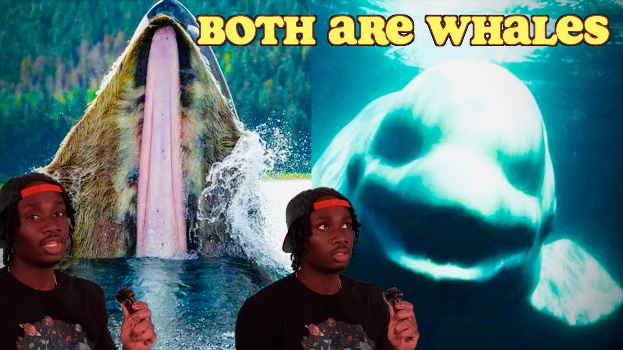 You (Probably) Have No Idea What a Whale Is