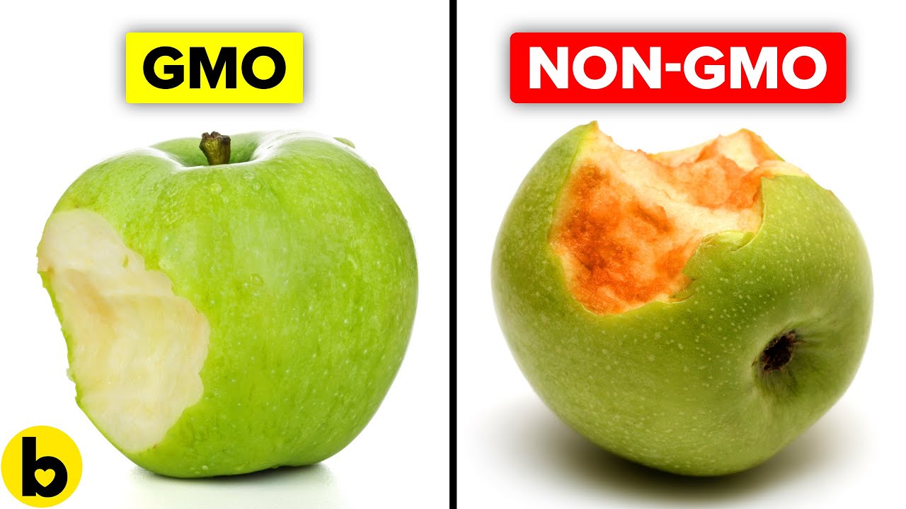 GM Foods: Pros & Cons π±