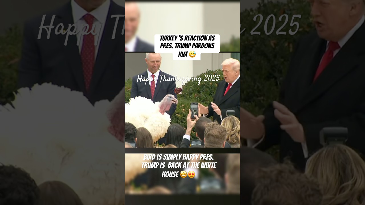 Trump Pardons Turkey: 'Praise the Lord' 🦃