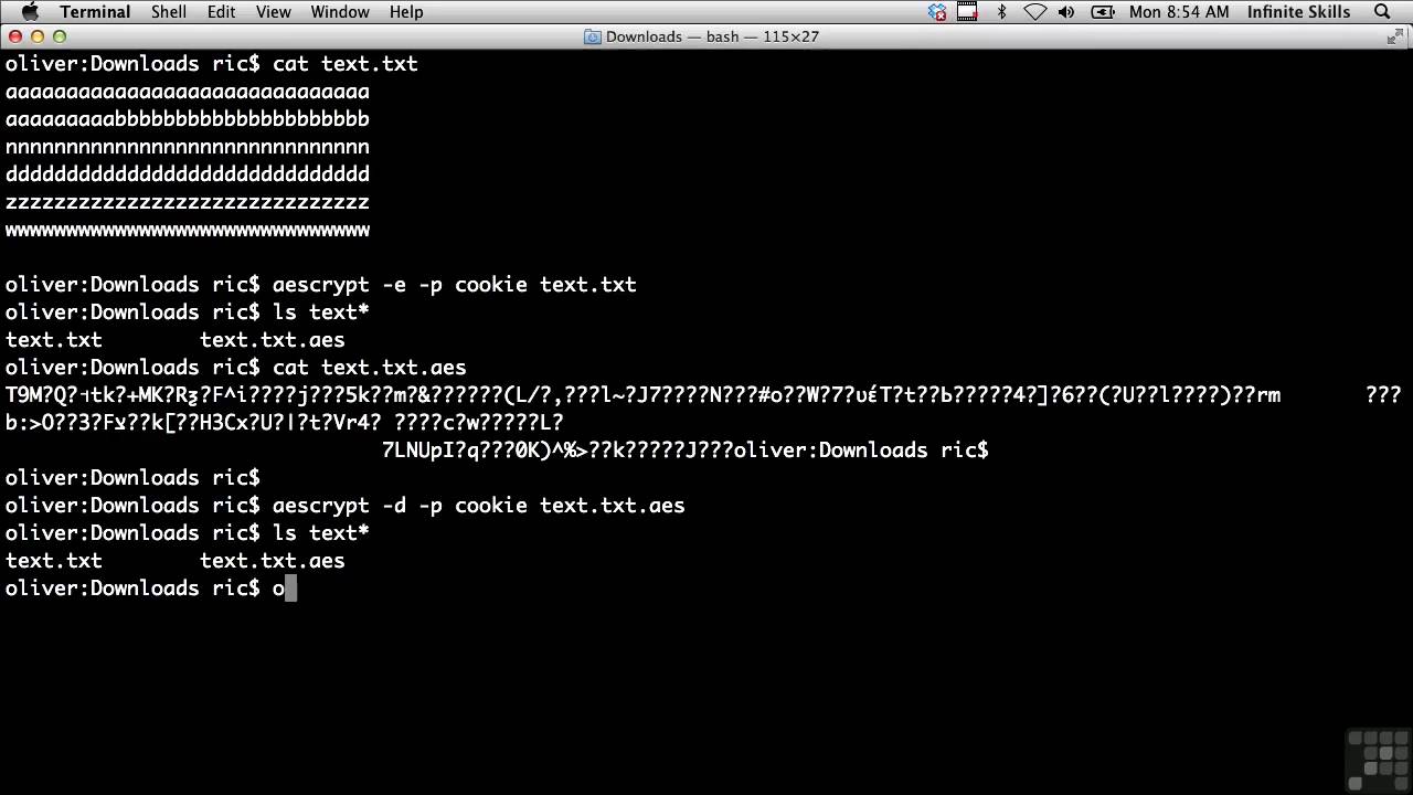 0402 Discover the 4 Types of Cryptography 🔐