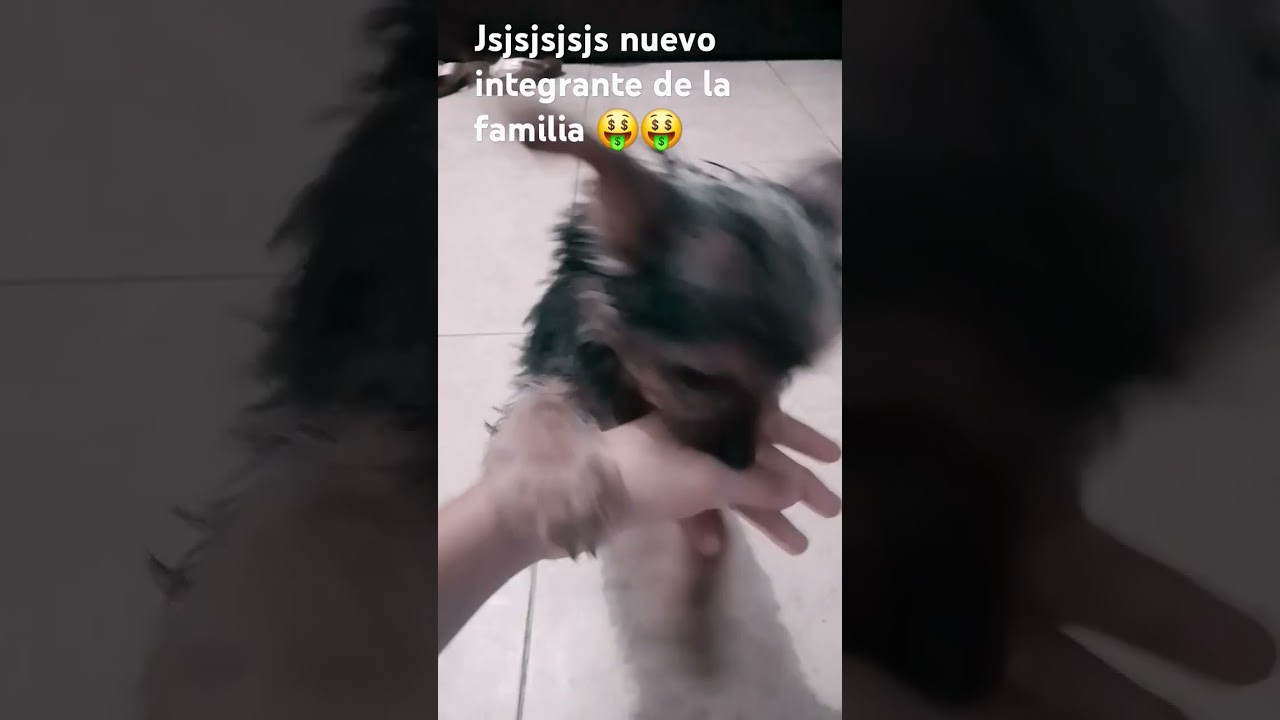 Understanding KSJSSJSJ