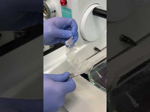 Cutting Lung Tissue on a Microtome in Histology Lab
