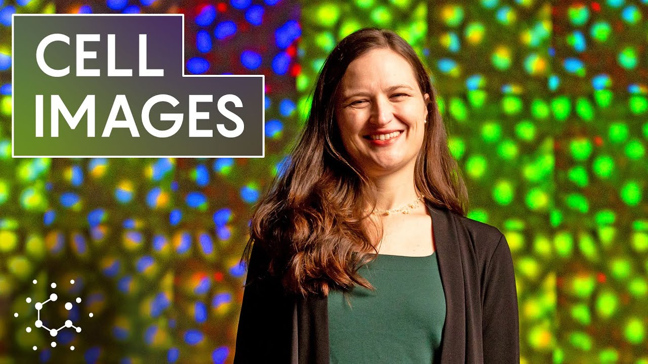 Unlocking Nature's Secrets: How Biology and Computer Science Are Changing the Future 🌱