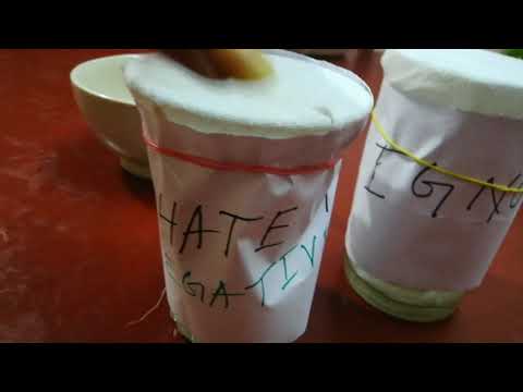 How to drink water  for weight lose in hindi | water ko charge kaise kore | water memory experiment