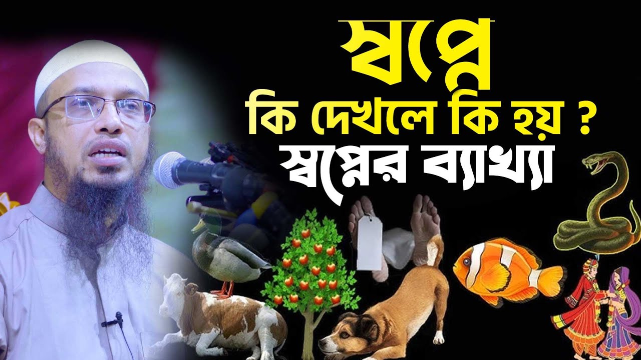 স্বপ্নের অর্থ ও ব্যাখ্যা | Sheikh Ahmadullah