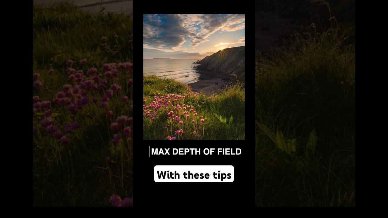 Where to Focus for Sharp Landscape Photos 📸 #photography #photographytips #landscapephotography