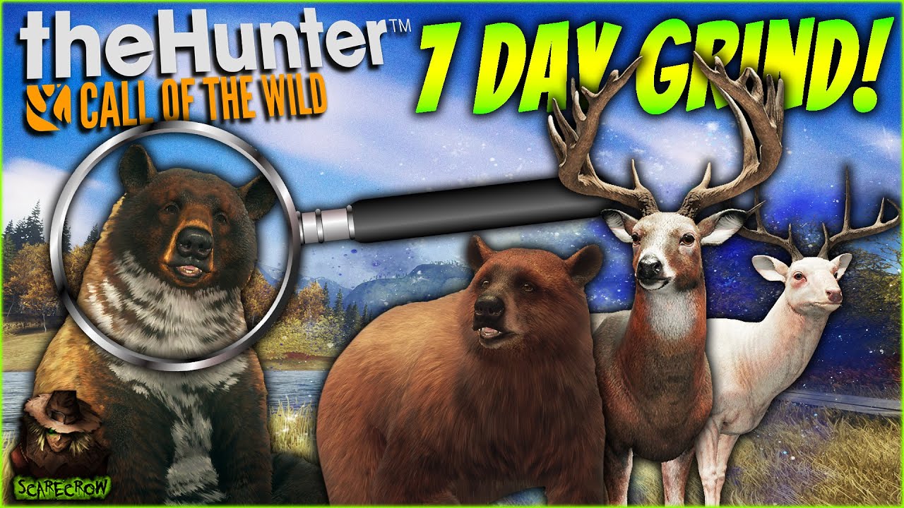7 Days Hunting Great Ones for Rare Diamonds 🎯