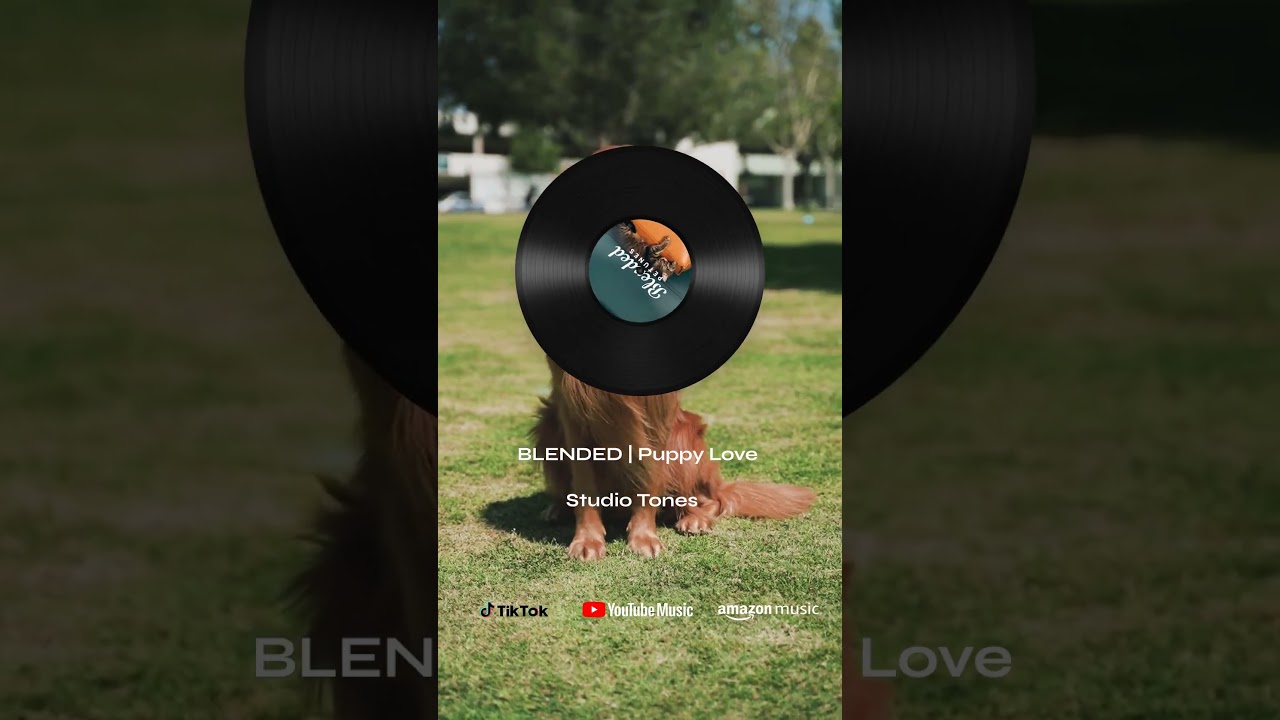 BLENDED | Puppy Love #asmr #easylisteningmusic #music #originalsound #peaceful #relax #sounds