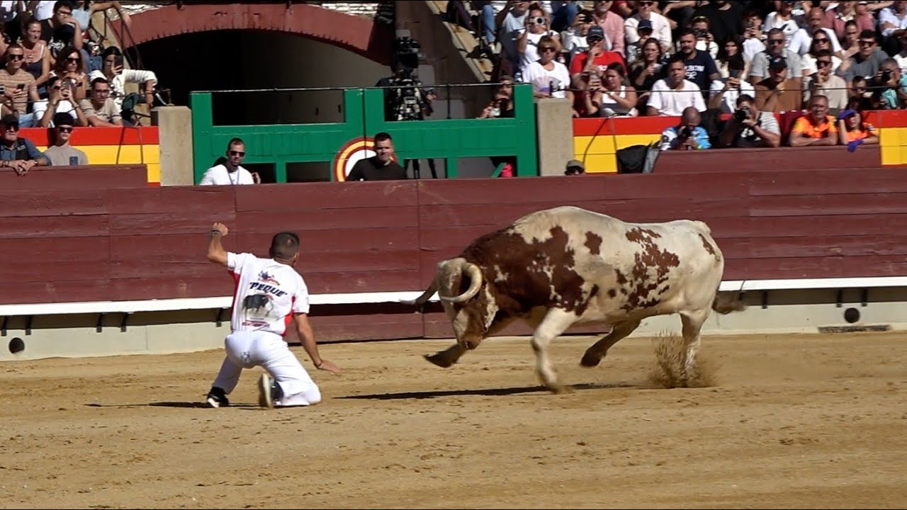 Final Campeonato de España de Recortadores 2025 🐂