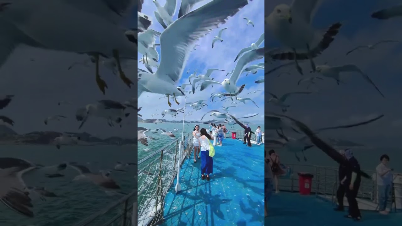 Top 5 Hidden Paradise Spots on Earth 🌍