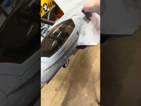 Freewing 90mm F-22 Raptor! #rcairplane  #freewing #jet #airplane #warbird