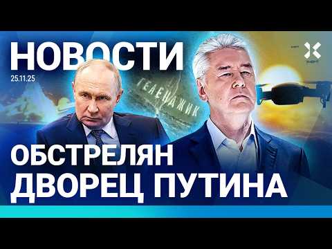 Обзор новостей 25 ноября: обстрелы и атаки 🇺🇸