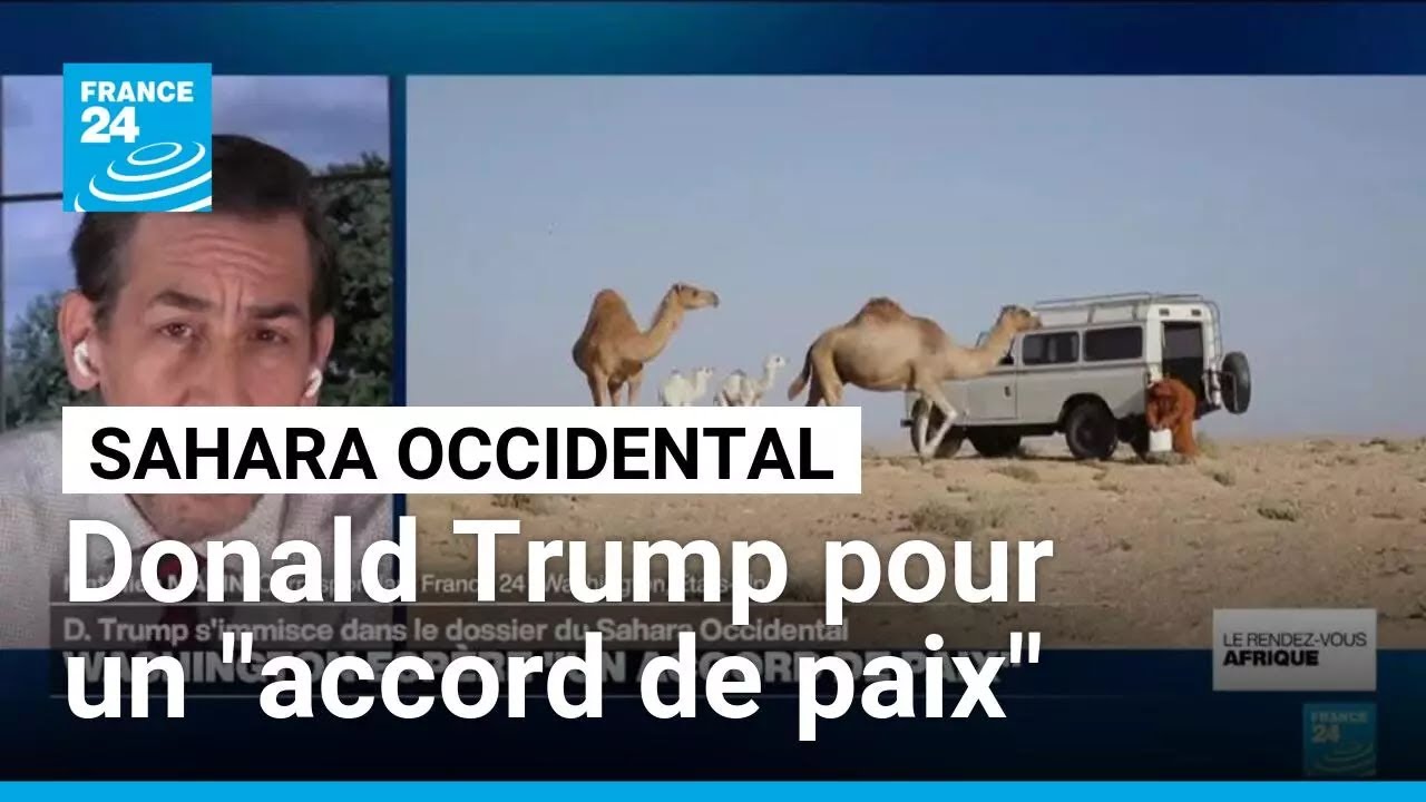 Trump Intervient dans le Conflit du Sahara Occidental 🌍