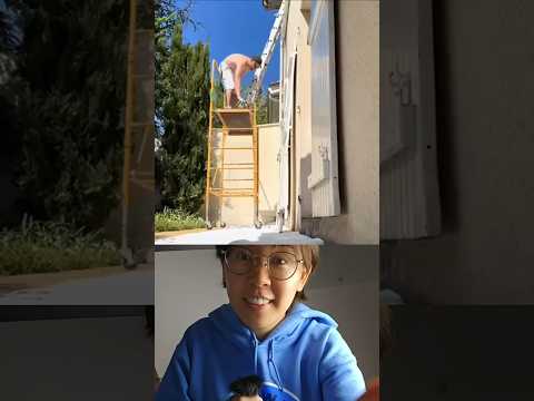 Balancing Act: The Physics of a Slippery Ladder!