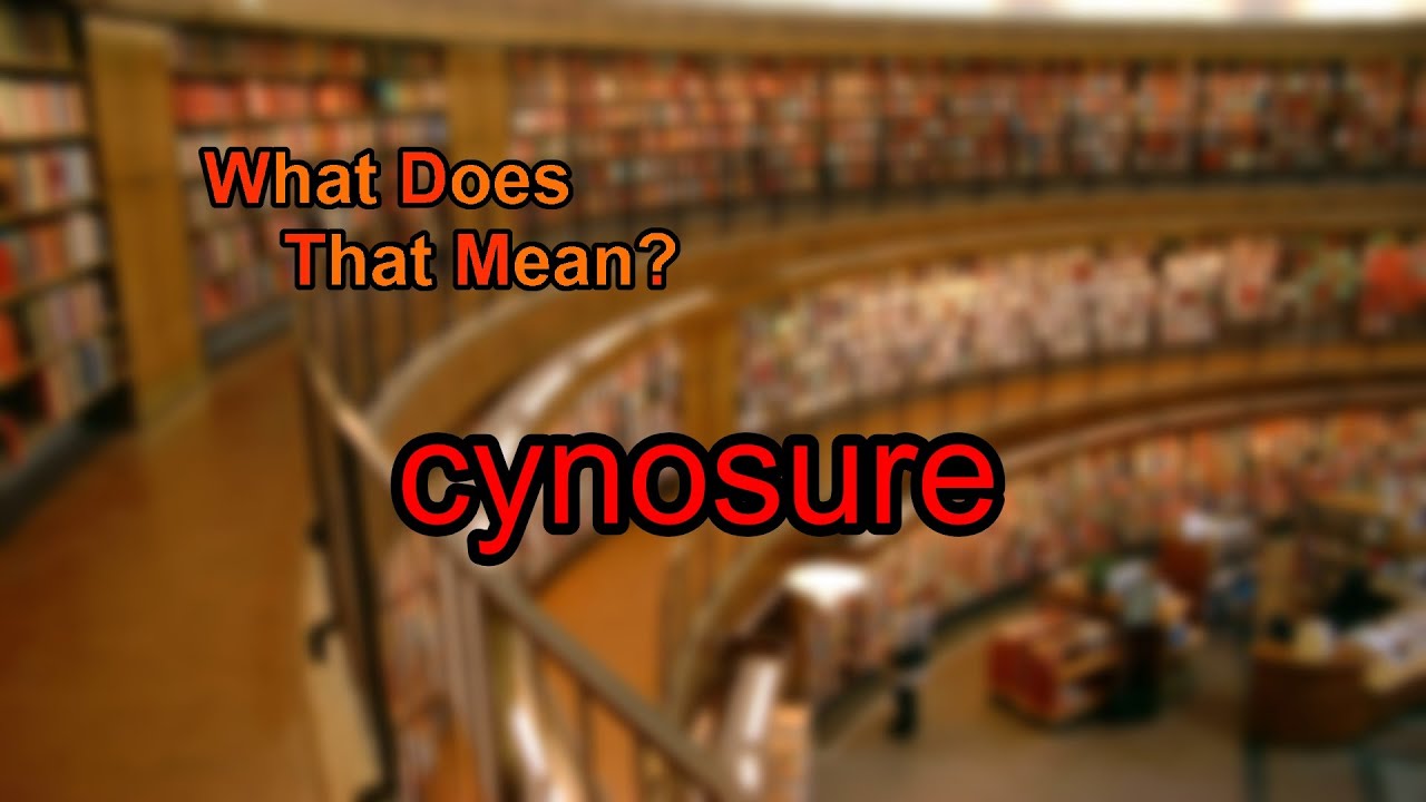 What Is Cynosure? Definition & Meaning β¨