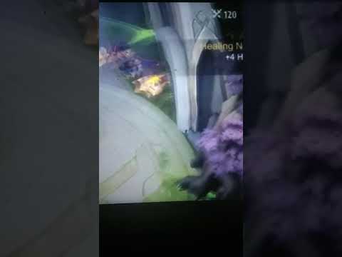 memphy 100+ kill world record Aldous God