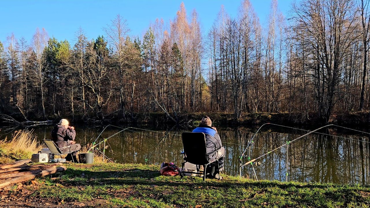 Успешное закрытие сезона: Лещ на реке Друть 🐟