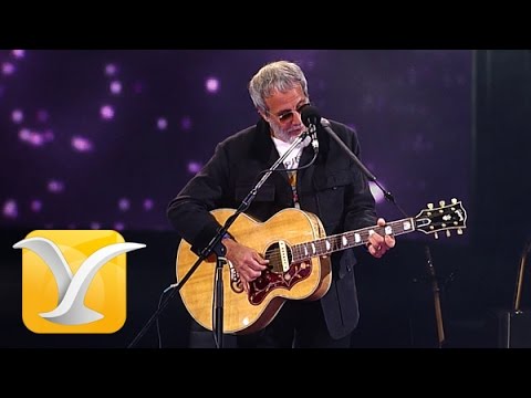 Yusuf Cat Stevens - The First Cut is the Deepest @ Viña 2015 🎶