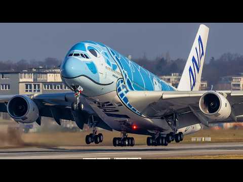 70 minutes of Airbus A380 ONLY ! ALL AIRLINES / Landing, and Take off around the World