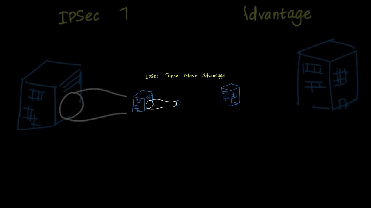 D334 OA Core Concept Breakdown π§