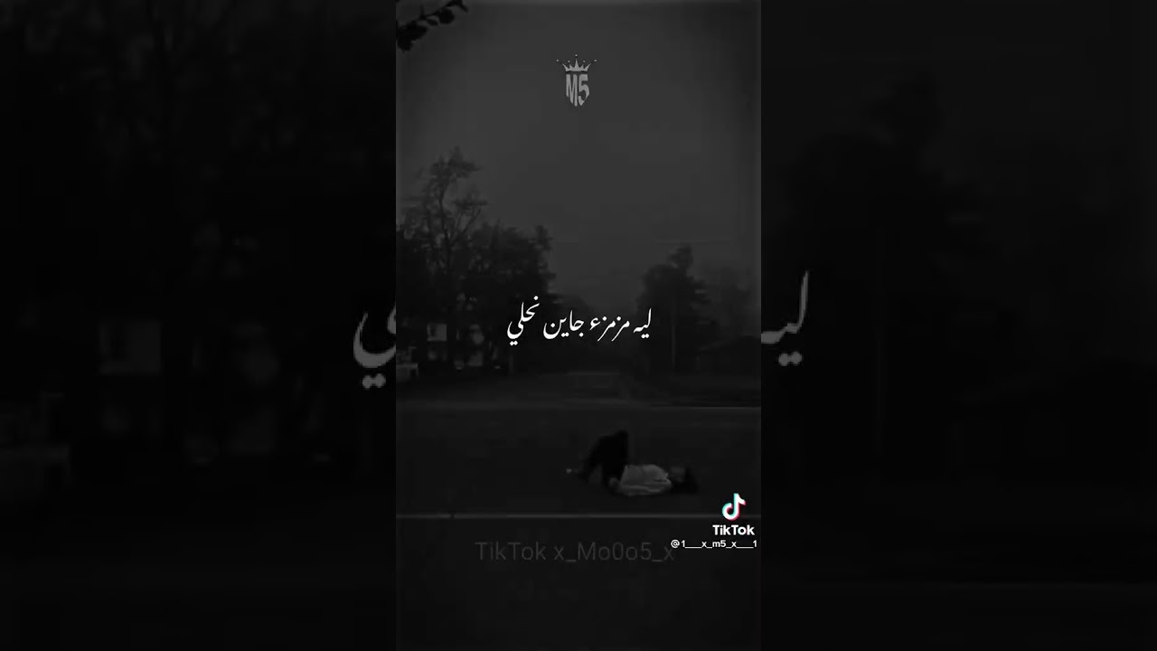 استمتع بأجمل لحظات اليوم 🌼