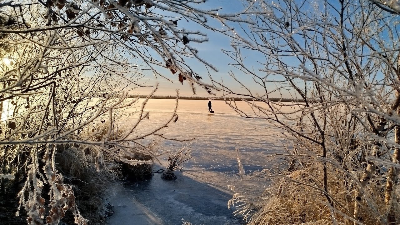 Первый лёд на Ямале! Щука на жерлицы 2025 — Уловы и советы 🐟