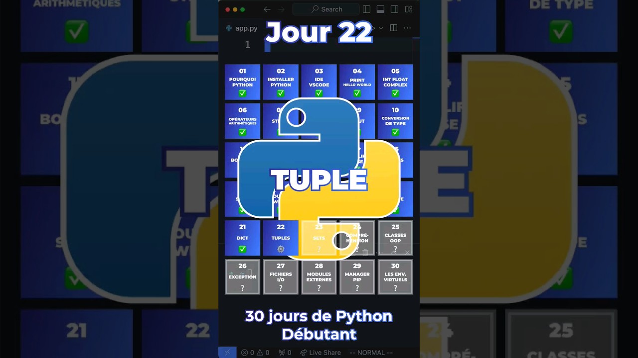 Les Tuples en Python : Guide Facile pour Débutants 📘