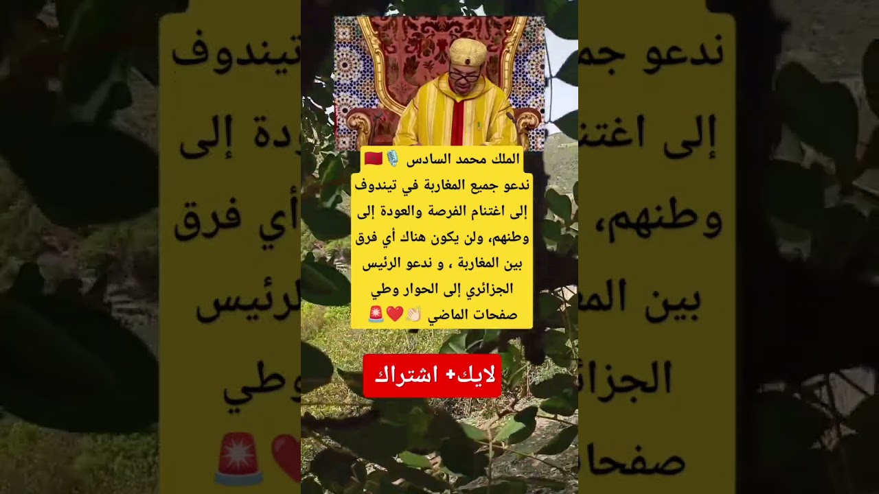 الملك محمد السادس يدعو المغاربة في تيندوف للعودة وإطلاق حوار مع الجزائر 🇩🇿