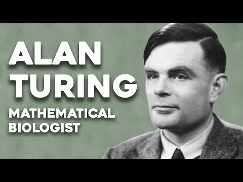 Alan Turing, the mathematical biologist | Mathematics and Statistics at Sheffield