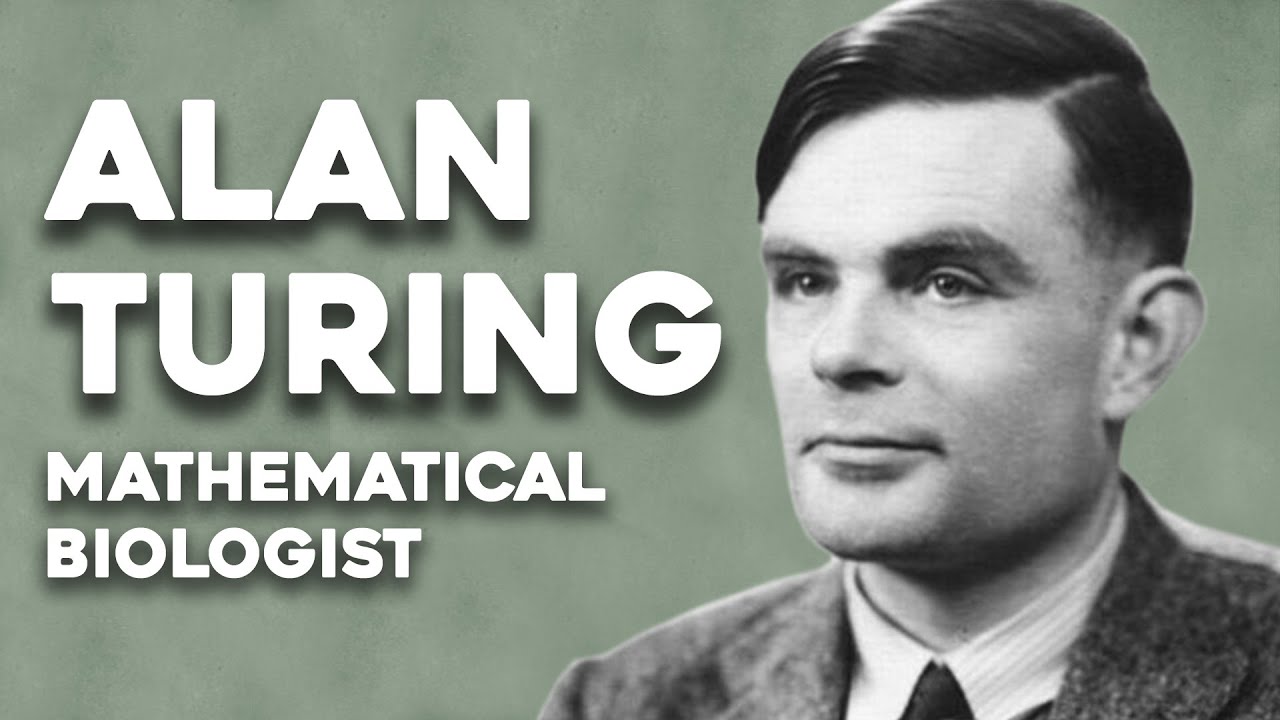 Alan Turing: The Mathematical Biologist Behind the Codebreaker Legend 🧬