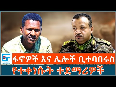 የተቀነሱ ተደማሪዎች፣ ፋኖና ሌሎቹ ቢተባበሩስ?| ETHIO FORUM