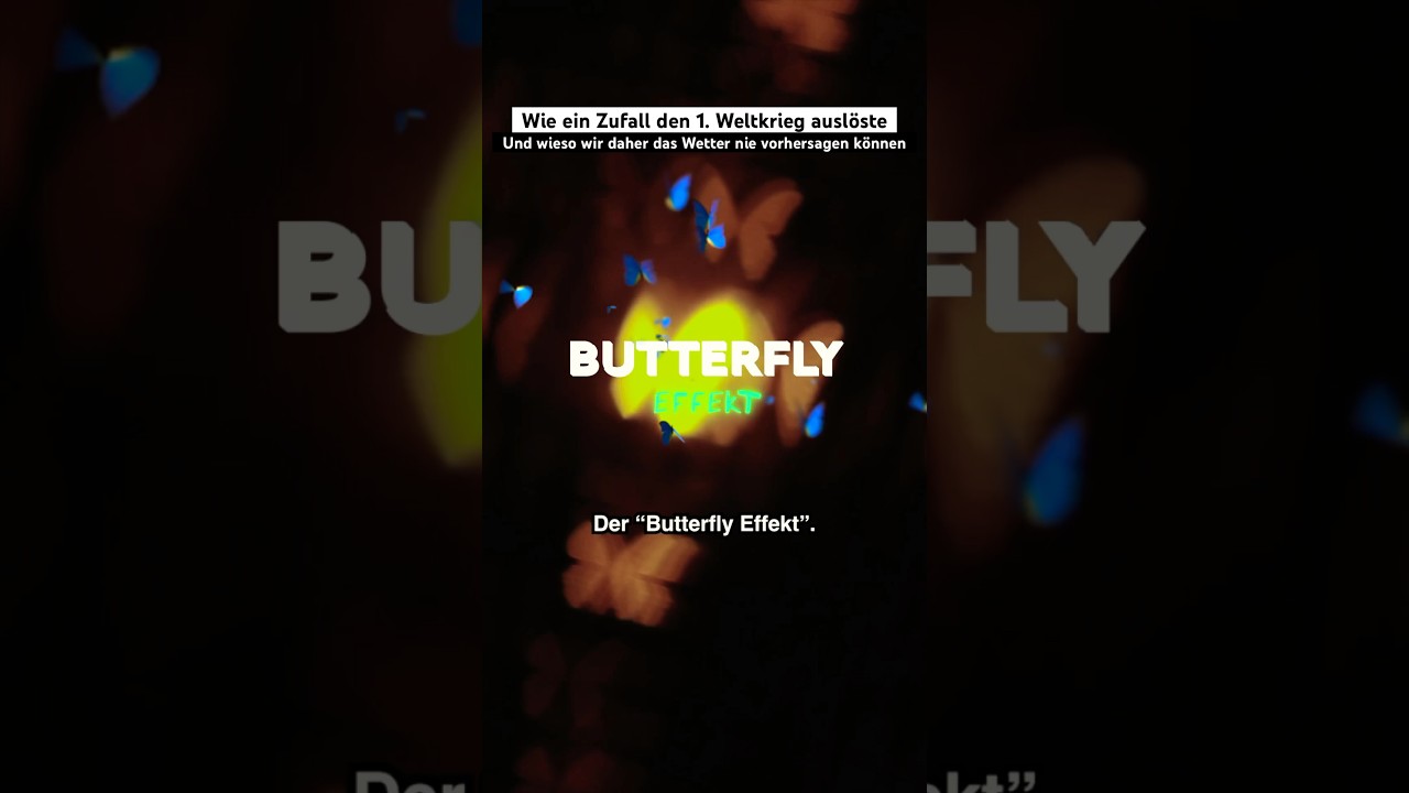 Der 1. Weltkrieg und der Schmetterling 🦋