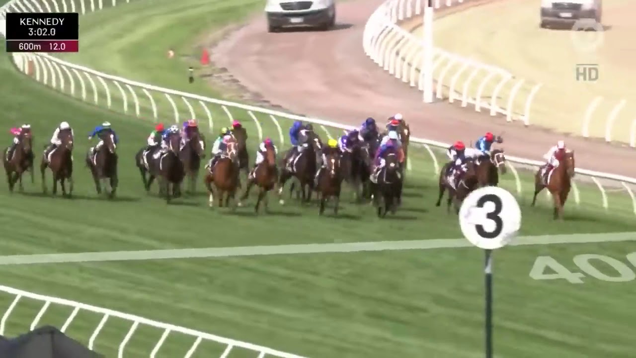 Melbourne Cup 2019: Memorable Finish 🏆