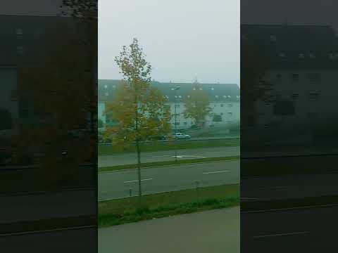 Today's Weather🌈🌄 In Zurich Switzerland🇨🇭 Temperature Is 9 Degree With Fogg🌦☔#shorts #youtubeshorts