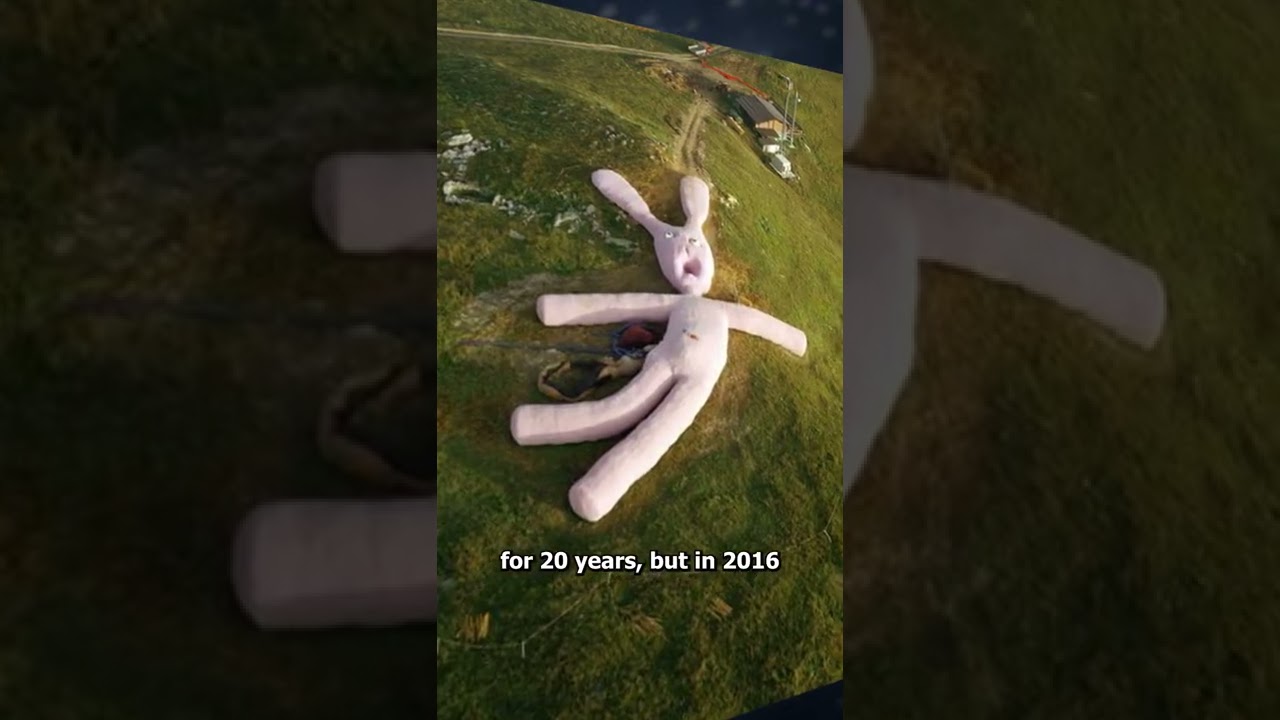 The Chilling Truth Behind Italy's Creepy Decomposing Giant Bunny 🐰