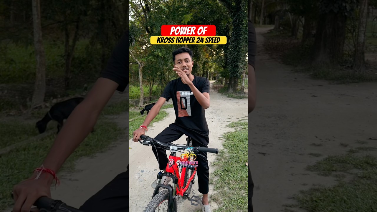 Kross Hopper 24-Speed Gear Cycle Overview