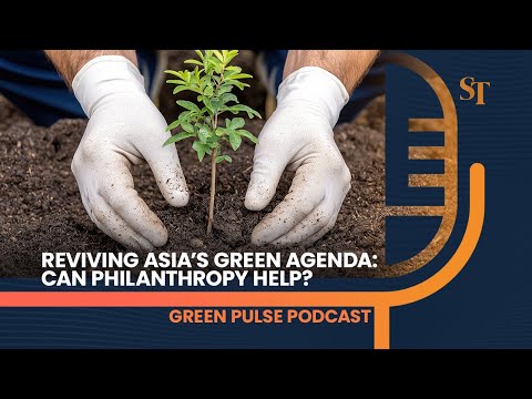 Can wealthy donors save Asia's climate agenda? | Green Pulse Podcast