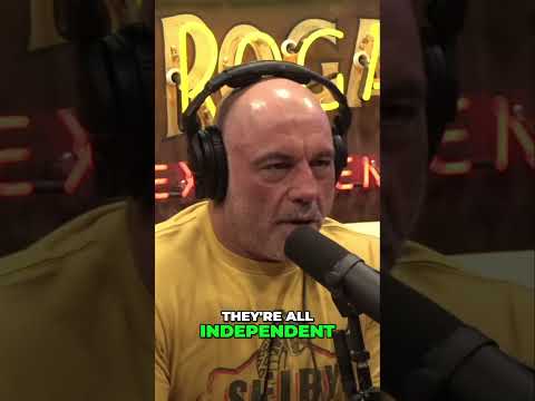 Exposing the Truth: Investigative Journalism Uncovered