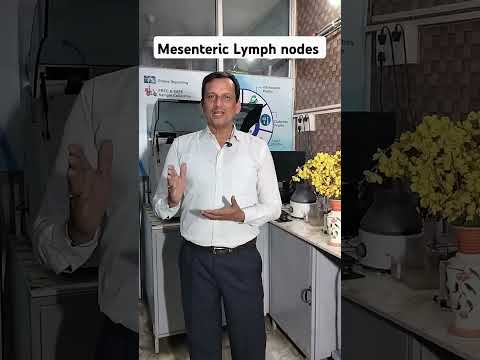What is Mesenteric Lymph node #sheetalchhaya #ajaykaushik #tb #paediatric