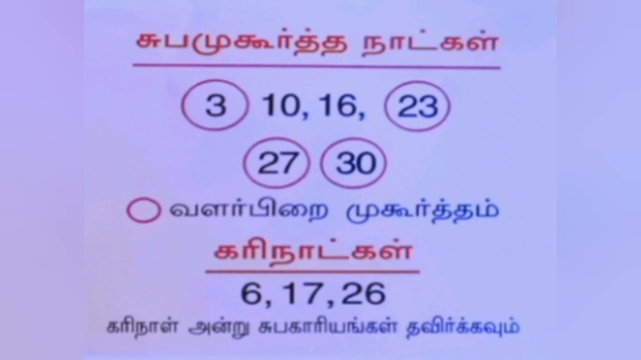 November 2025 Calendar in Tamil 📅