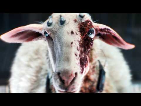 Новые Сериалы 2025 Которые Уже Можно Посмотреть. Премьеры и новые сезоны. Август - сентябрь 2025