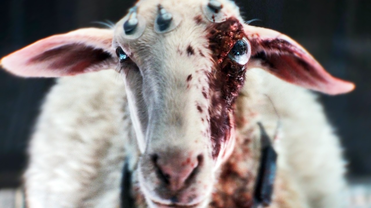 Лучшие новые сериалы 2025: Премьеры и сезоны уже доступны! 🎬